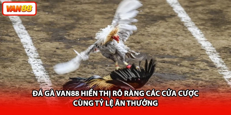 Đá gà VAN88 hiển thị rõ ràng các cửa cược cùng tỷ lệ ăn thưởng